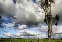 关于诺粉到底有多恨小俞的信息