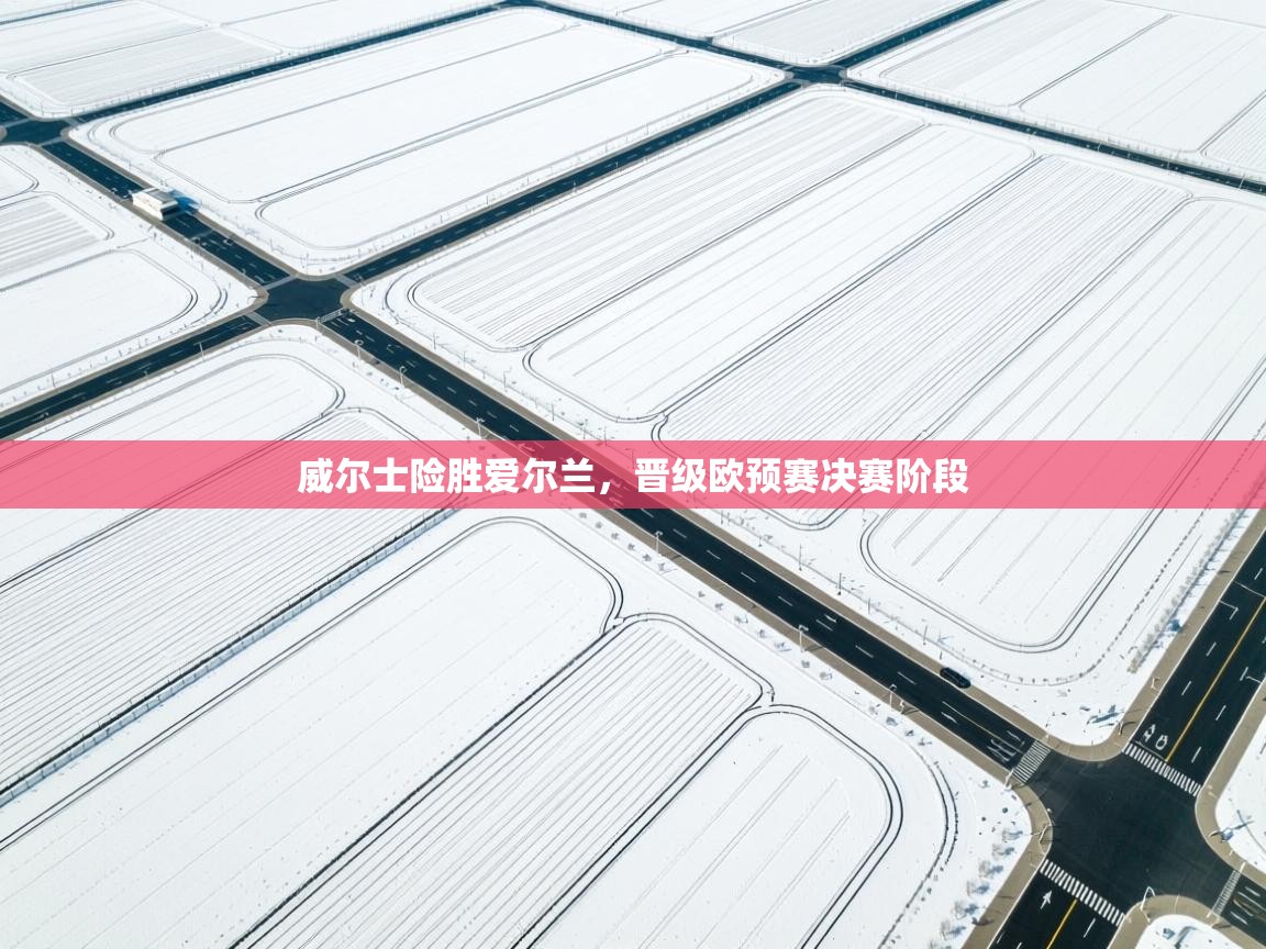 威尔士险胜爱尔兰，晋级欧预赛决赛阶段  第2张