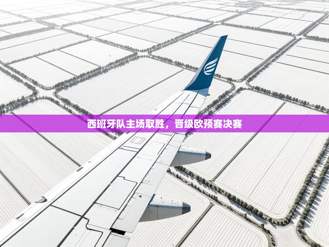 西班牙队主场取胜，晋级欧预赛决赛  第2张